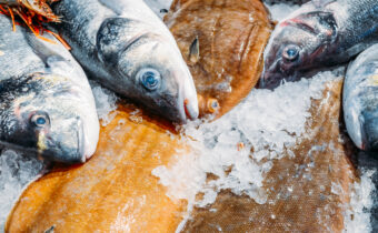 Ryby a morské plody trpia nadmerným výlovom, zatiaľ čo 40 % z nich končí v koši